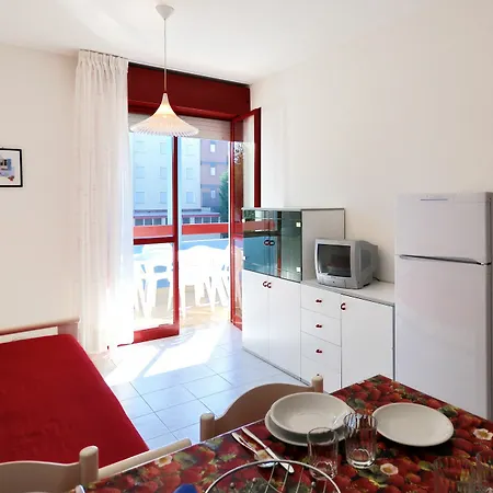Nautilus * Bibione